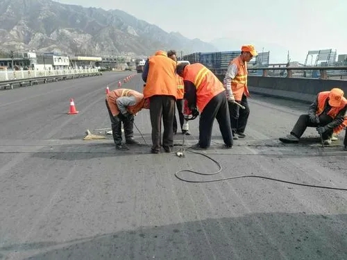 温岭道路桥梁病害治理